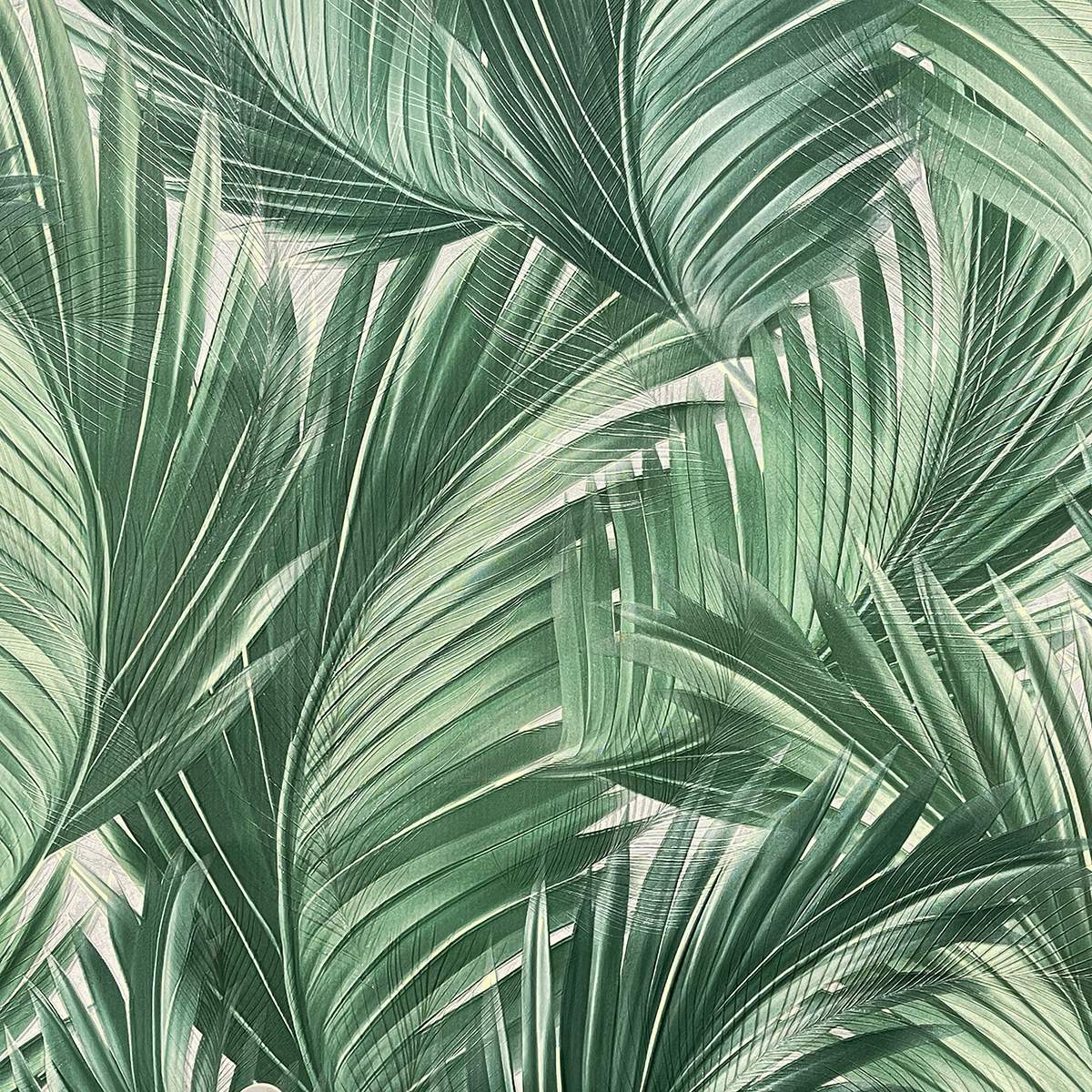 Wiganford Estetico HK66051