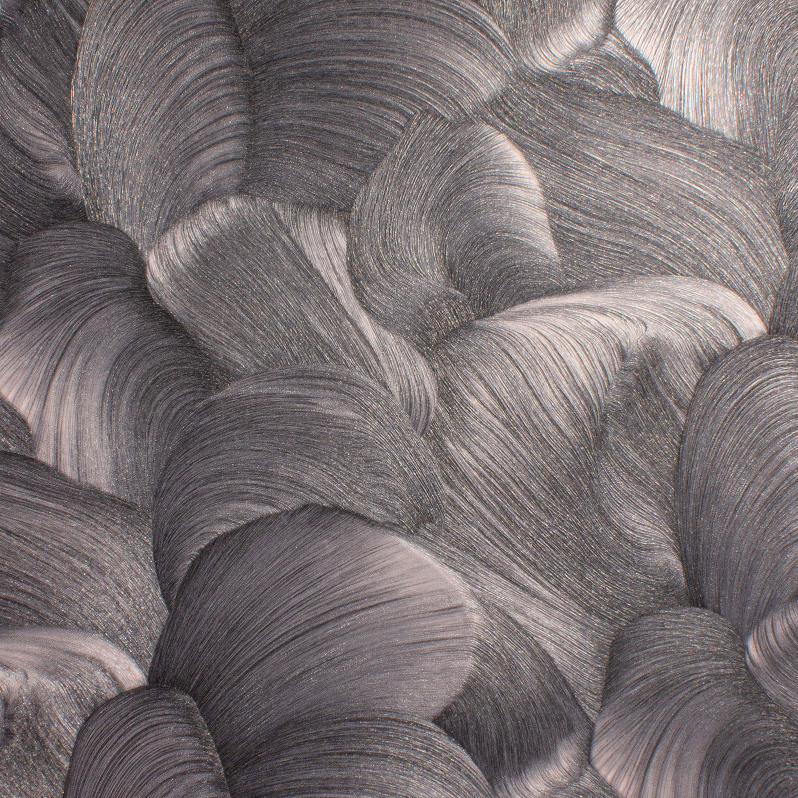 Accento Fancy 287758