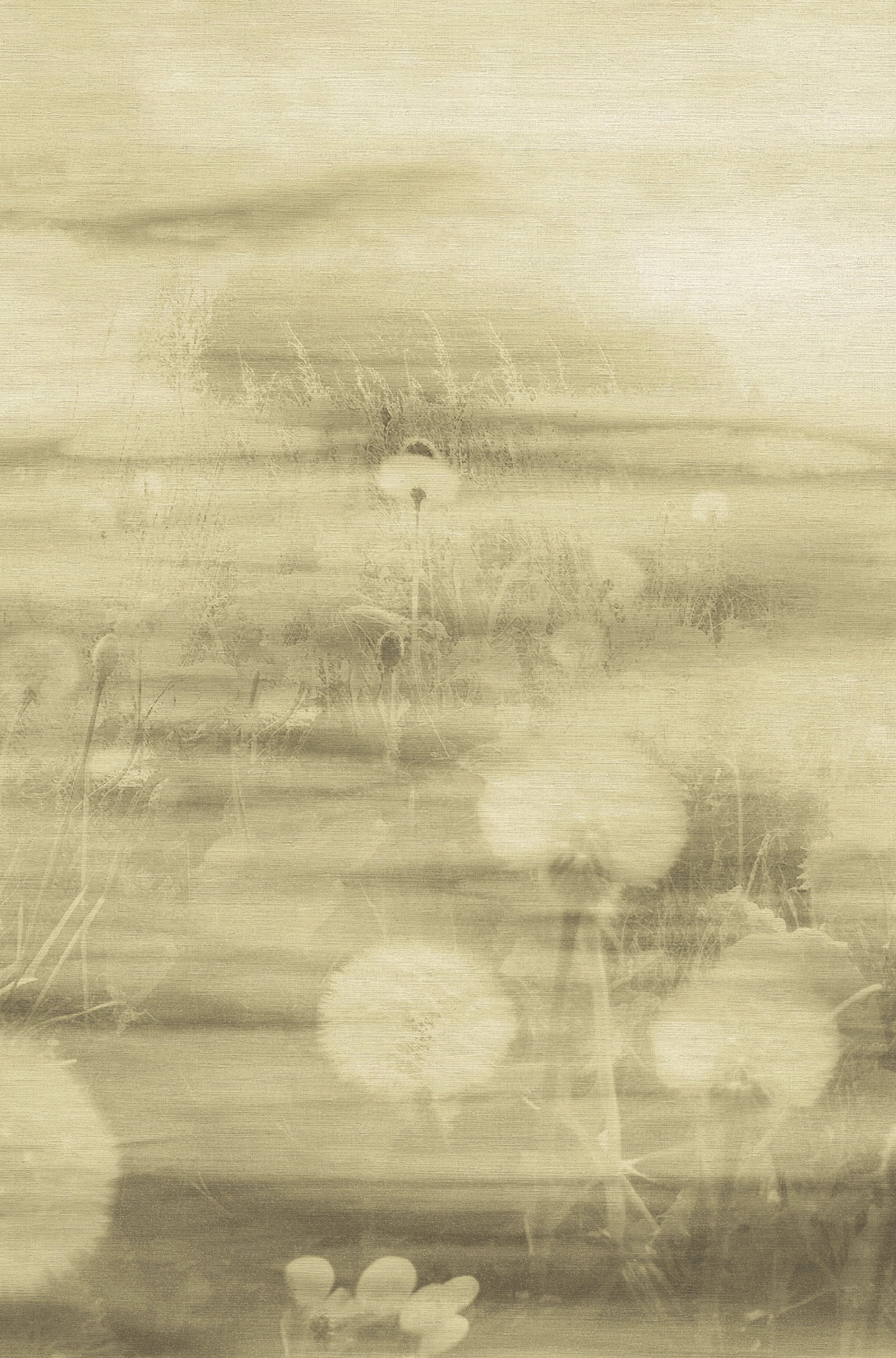 Emiliana Parati Tendenze 73899