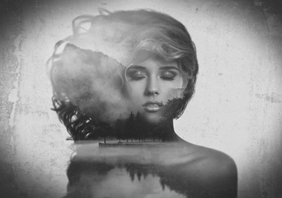 Partner Solo 13288V8