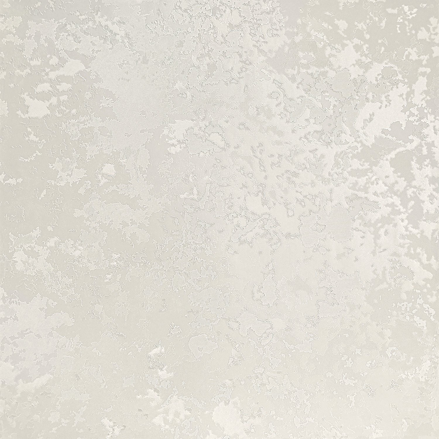 Monica Daisy MK10911