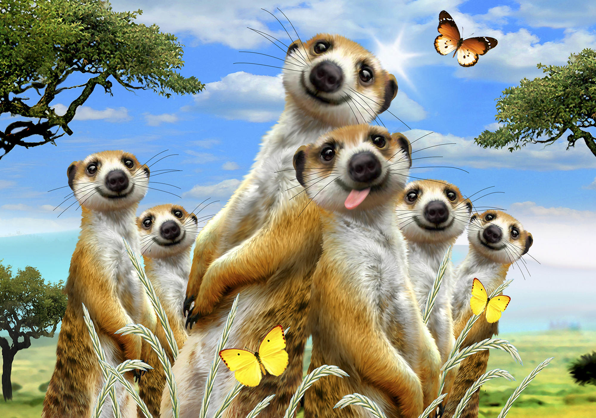 Partner Selfi-Solo 12868V8