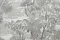 Monica История (La Storia) MS10409