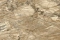 Emiliana Parati Каррара 4 (Carrara 4) 86601