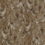 Roberto Cavalli Roberto Cavalli №9 21058