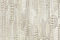 Roberto Cavalli Roberto Cavalli №8 19069