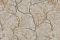 Decori-Decori Дзен (Zen) 72958
