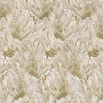 Roberto Cavalli Roberto Cavalli №9 21002