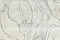 Haoya Эстетичный (Estetico) HK66202