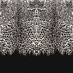 Roberto Cavalli Roberto Cavalli №8 19112