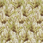 Roberto Cavalli Roberto Cavalli №9 21008