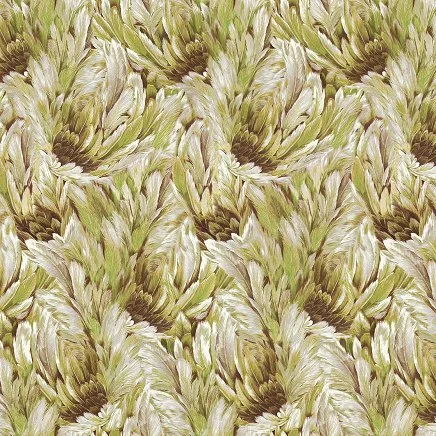 Roberto Cavalli Roberto Cavalli №9 21008
