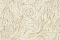 Blumarine Блюмарин №5 (Blumarine №5) 29020BM