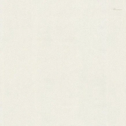 Blumarine Блюмарин №6 (Blumarine №6) 31049BM