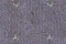 Valentin Yudashkin Valentin Yudashkin LimitEdition 84022