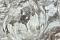 Haoya Эстетичный (Estetico) HK63351