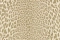Emiliana Parati Roberto Cavalli №9 21043