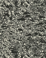 Roberto Cavalli Roberto Cavalli №8 19036