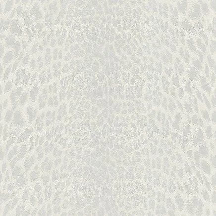 Roberto Cavalli Roberto Cavalli №9 21042