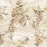 Roberto Cavalli Roberto Cavalli №9 21014