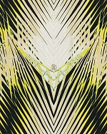 Roberto Cavalli Roberto Cavalli 9 17002