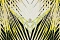 Roberto Cavalli Roberto Cavalli 9 17002