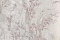 Accento Примула 169052