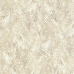 Roberto Cavalli Roberto Cavalli №9 21053