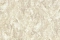 Roberto Cavalli Roberto Cavalli №9 21053