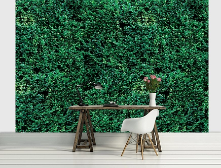 For Wall Соло (Solo) 2623P8