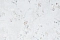 Wiganford Усадьба 267045