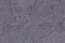 Emiliana Parati Valentin Yudashkin Limited Edition 84030