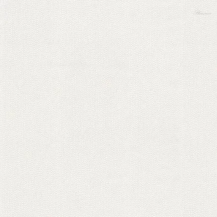 Blumarine Блюмарин №6 (Blumarine №6) 31052BM