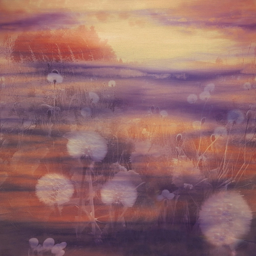 Emiliana Parati Tendenze 73898