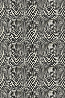 Roberto Cavalli Roberto Cavalli №8 19128