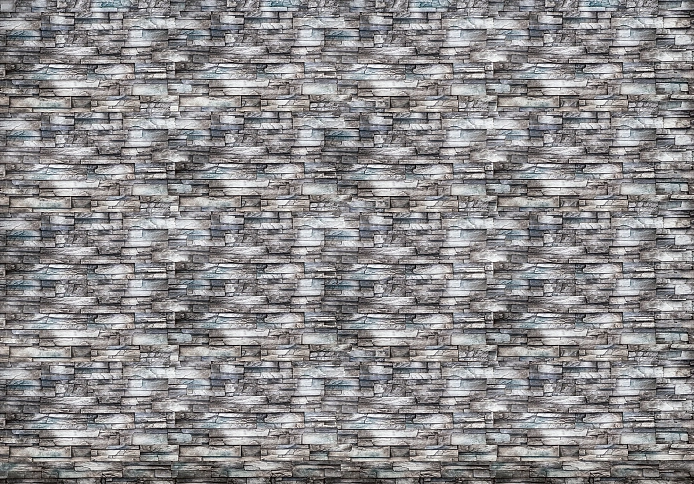 Partner Соло 10184V8