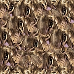 Roberto Cavalli Roberto Cavalli №9 21107