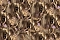 Roberto Cavalli Roberto Cavalli №9 21107