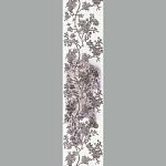 Roberto Cavalli Roberto Cavalli 4 12066