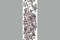 Roberto Cavalli Roberto Cavalli 4 12066