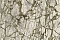 Decori-Decori Каррара 3 (Carrara 3) 84603