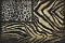 Roberto Cavalli Roberto Cavalli №8 19101