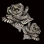 Roberto Cavalli Roberto Cavalli №8 19116