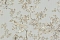 Roberto Cavalli Roberto Cavalli №8 19047