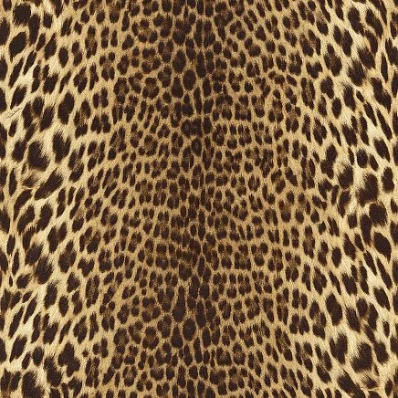 Roberto Cavalli Roberto Cavalli №9 21041