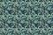 Emiliana Parati Roberto Cavalli №8 19109