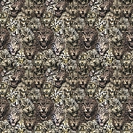 Emiliana Parati Roberto Cavalli №8 19104