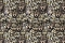 Emiliana Parati Roberto Cavalli №8 19104