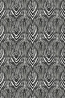 Roberto Cavalli Roberto Cavalli №8 19123