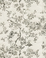 Roberto Cavalli Roberto Cavalli №8 19046